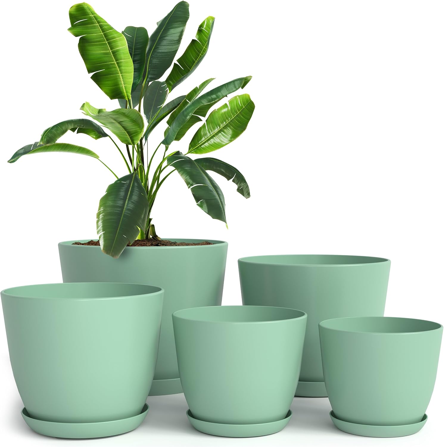 Plant Pots Indoor with Drainage, 5 Pack Multi-Size Planters Set, White