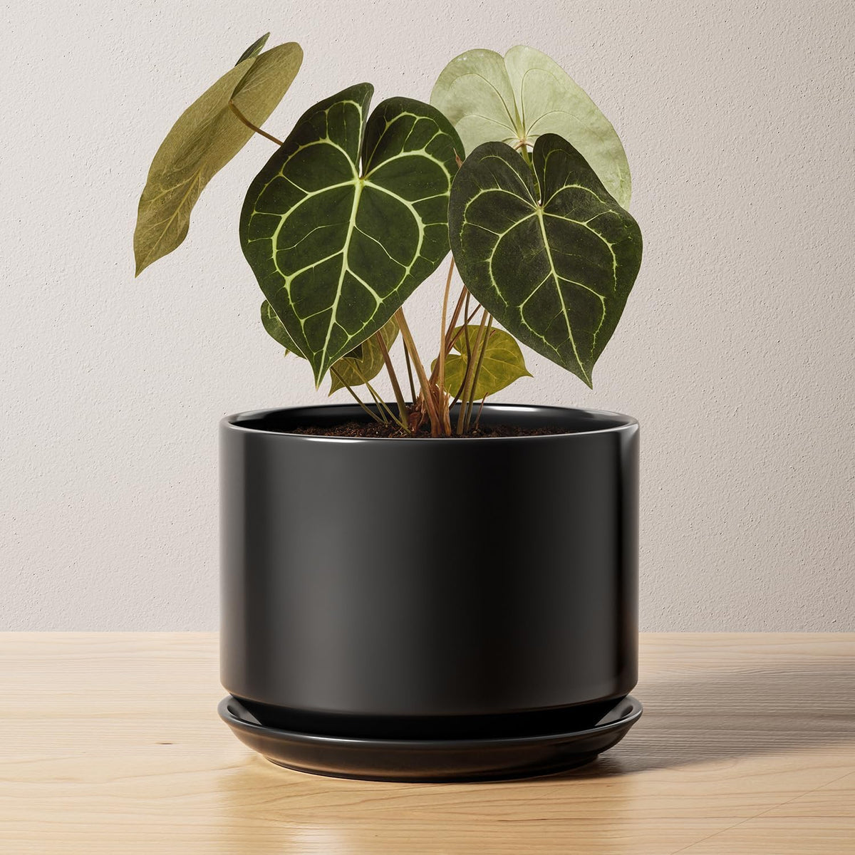 LE TAUCI Ceramic Pots for Plants, 10 Inch Plant Pot with Drainage Hole & Saucer, Sturdy & Modern Planters for Indoor Plants, Includes Mesh Screen, Fits Snake Plant & Monstera, White
