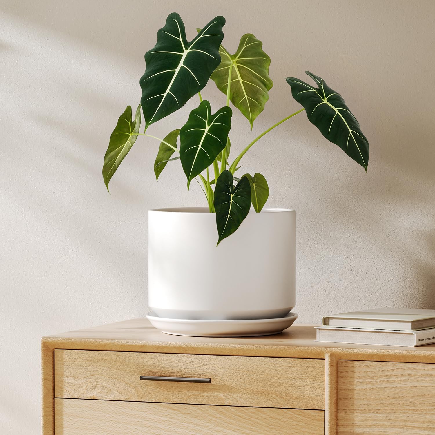 LE TAUCI Ceramic Pots for Plants, 10 Inch Plant Pot with Drainage Hole & Saucer, Sturdy & Modern Planters for Indoor Plants, Includes Mesh Screen, Fits Snake Plant & Monstera, White