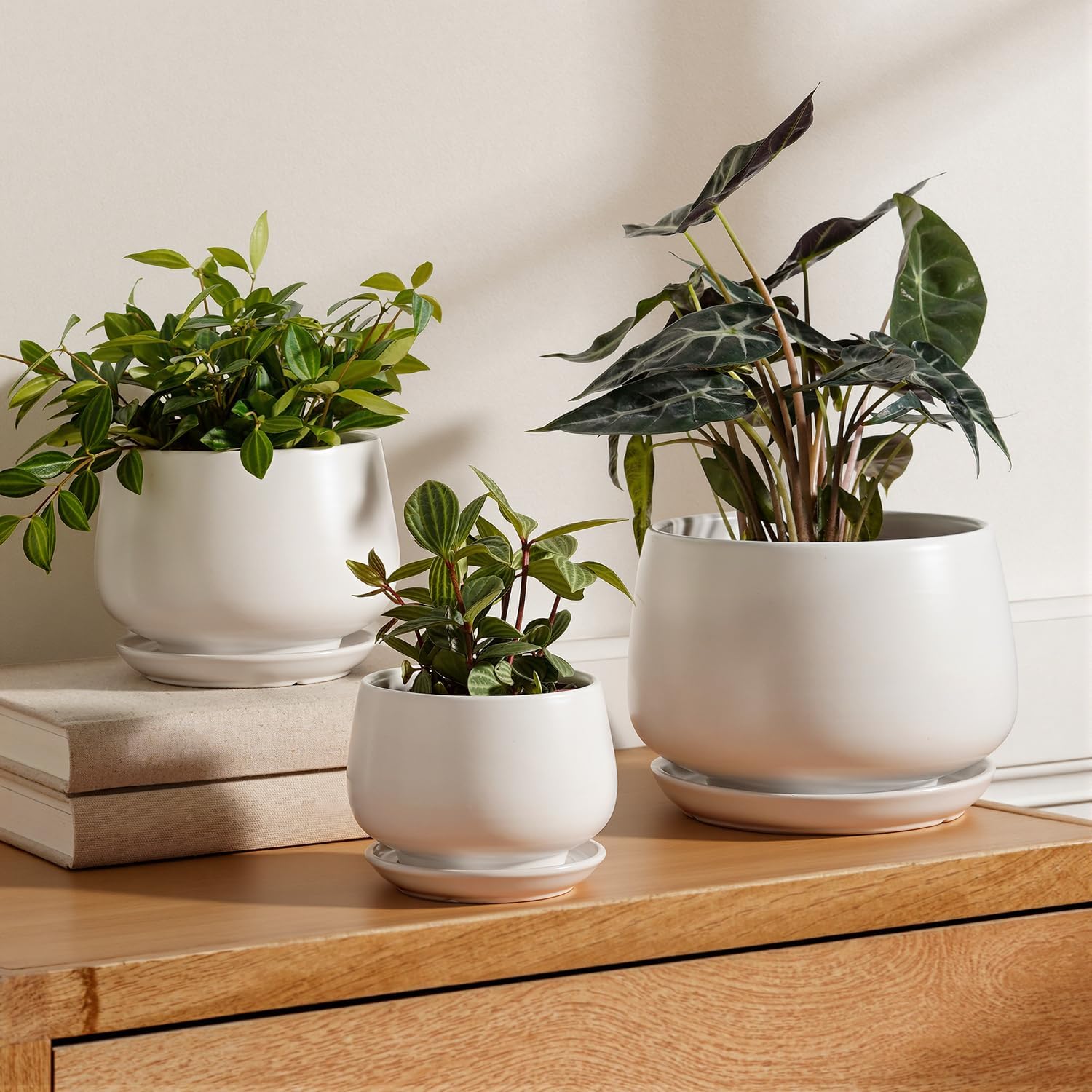 LE TAUCI Plant Pots, 4.1+5.1+6.5 inch, Set of 3, Ceramic Planters with Drainage Hole and Saucer, Indoor Flower Pot with Hole Mesh Pad, Gifts for Mom, Reactive Glaze Beige