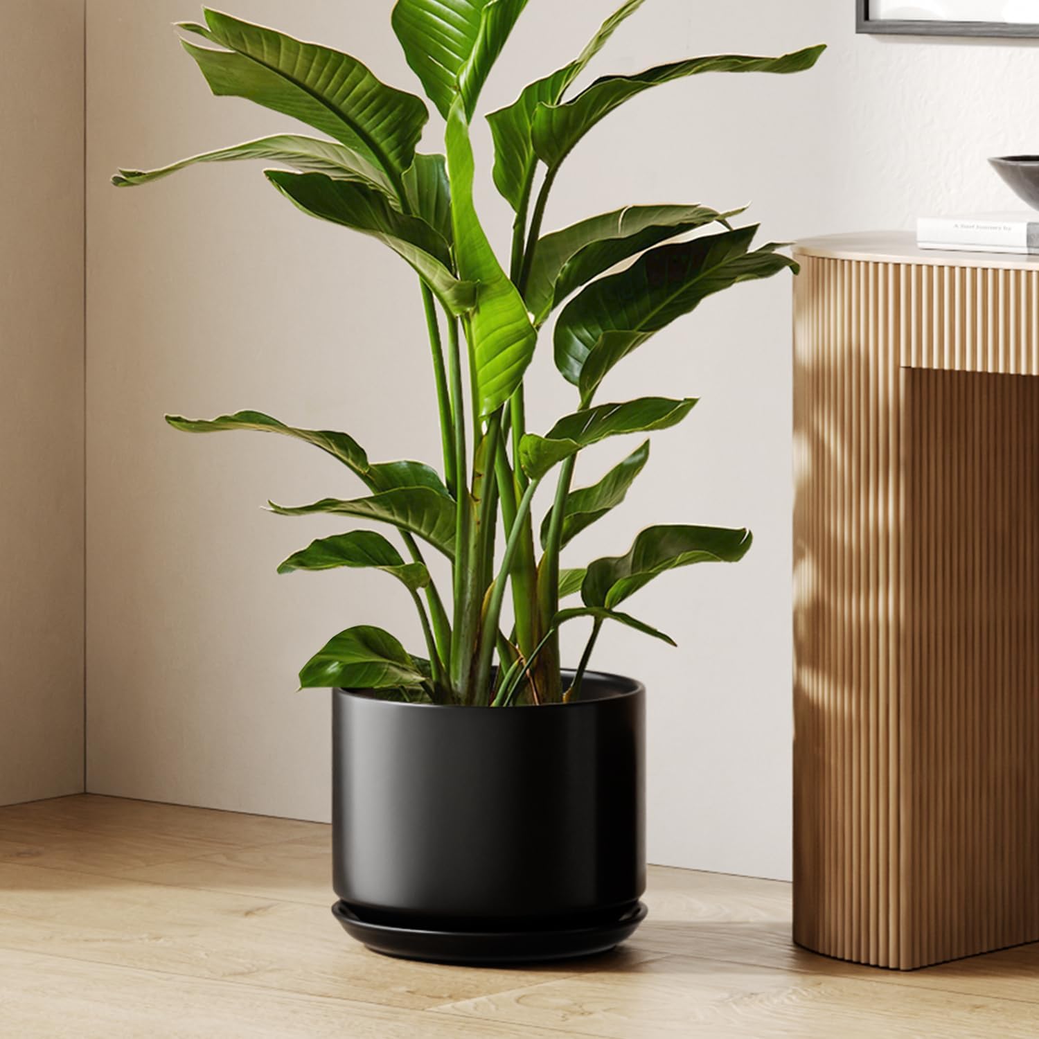 LE TAUCI Ceramic Pots for Plants, 10 Inch Plant Pot with Drainage Hole & Saucer, Sturdy & Modern Planters for Indoor Plants, Includes Mesh Screen, Fits Snake Plant & Monstera, White