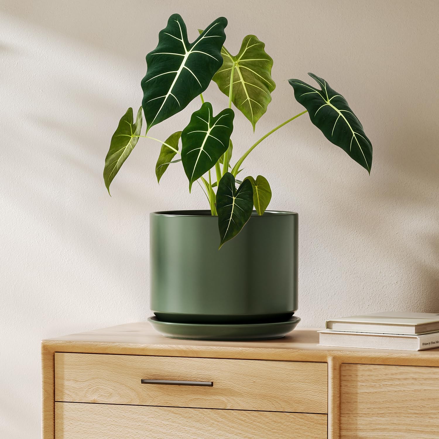 LE TAUCI Ceramic Pots for Plants, 10 Inch Plant Pot with Drainage Hole & Saucer, Sturdy & Modern Planters for Indoor Plants, Includes Mesh Screen, Fits Snake Plant & Monstera, White
