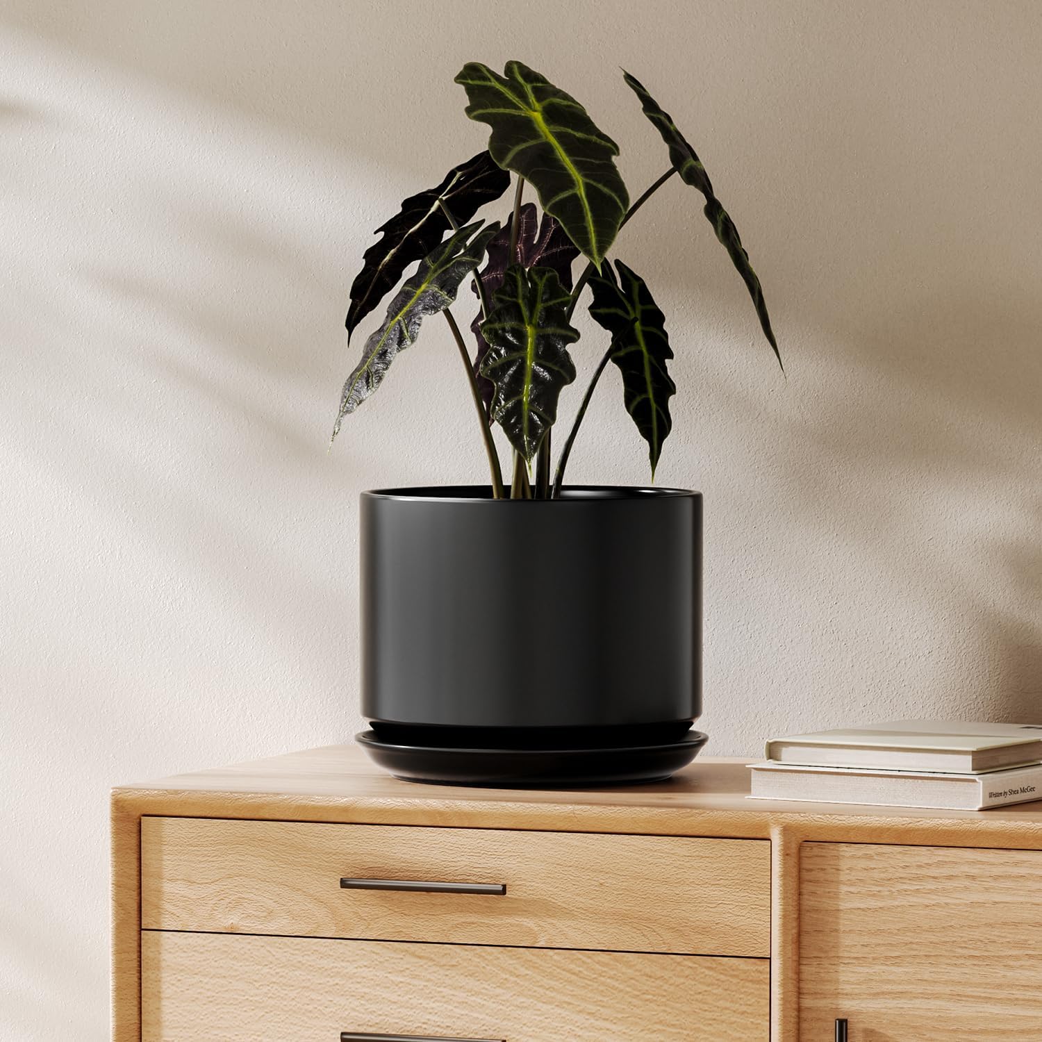 LE TAUCI Ceramic Pots for Plants, 10 Inch Plant Pot with Drainage Hole & Saucer, Sturdy & Modern Planters for Indoor Plants, Includes Mesh Screen, Fits Snake Plant & Monstera, White
