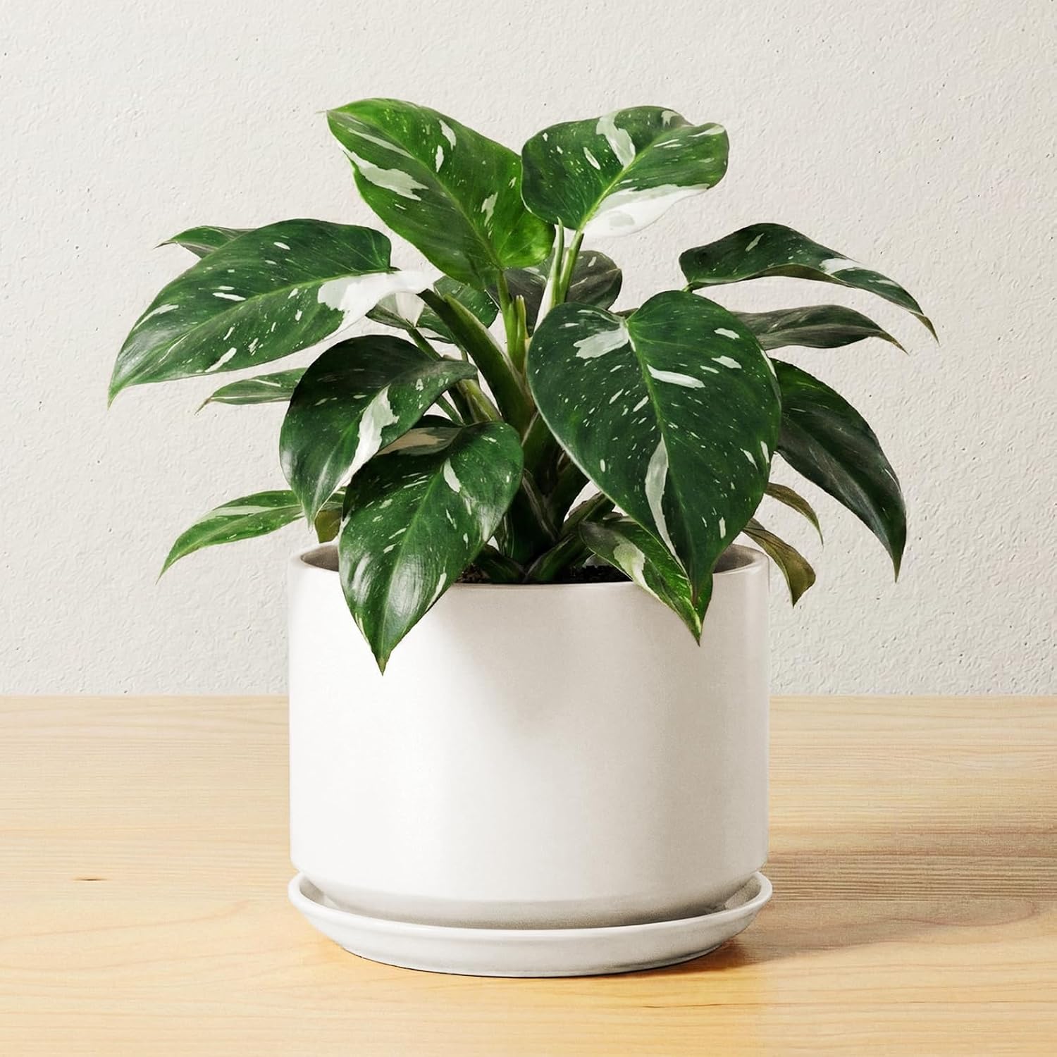 LE TAUCI Ceramic Pots for Plants, 10 Inch Plant Pot with Drainage Hole & Saucer, Sturdy & Modern Planters for Indoor Plants, Includes Mesh Screen, Fits Snake Plant & Monstera, White