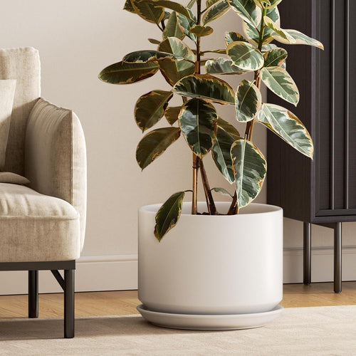LE TAUCI Ceramic Pots for Plants, 10 Inch Plant Pot with Drainage Hole & Saucer, Sturdy & Modern Planters for Indoor Plants, Includes Mesh Screen, Fits Snake Plant & Monstera, White